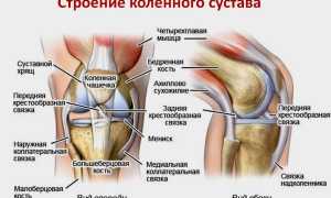 Что показывает УЗИ коленных суставов: показания, подготовка, описание, заключение, цена