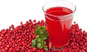 Сушеная клюква для лечения урологических заболеваний