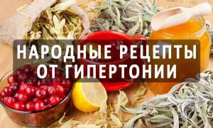 Какие народные средства помогают от повышенного давления?