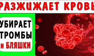 Что разжижает кровь и убирает тромбоз — продукты и народные средства