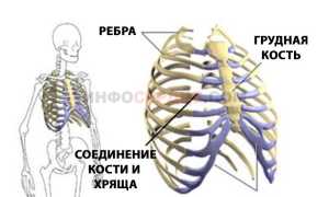 Почему возникают щемящие боли в области сердца и насколько это опасно?
