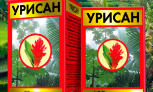 Использование препарата Урисан при урологических заболеваниях