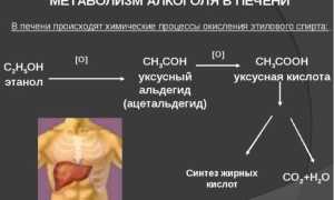 Как избавиться от запаха перегара изо рта быстро в домашних условиях: эффективные средства и таблетки