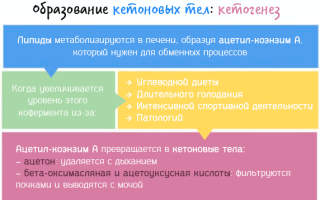 Кетонурия при беременности — веский повод обратится к врачу за помощью