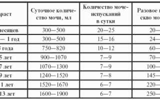Что делать родителям при частом мочеиспускании у детей – причины появления