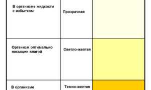 Причины появления темной мочи у ребенка и как ее привести в норму