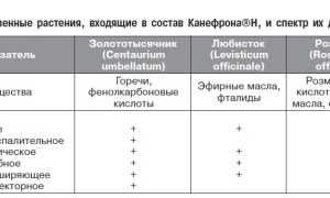 Применение препарата Канефрон при беременности: побочные эффекты и дозы