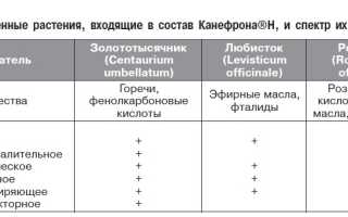 Применение препарата Канефрон при беременности: побочные эффекты и дозы