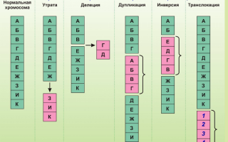 Передается ли косоглазие по наследству от родителей и бабушек?