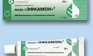 Инструкция по применению мази Эфкамон для снятия боли и воспаления при патологиях костно-мышечной системы