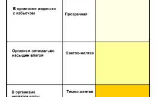 Причины появления оранжевой мочи и что это означает