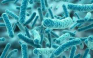 Клебсиелла (Klebsiella):  характеристика и патогенность, проявления, терапия