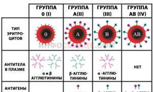 Может ли меняться группа крови?