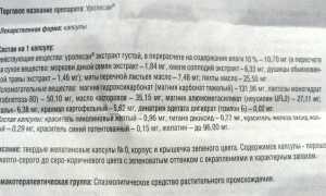 Как употреблять Уролесан при цистите: состав и отзывы