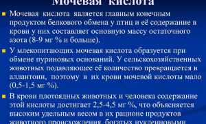 Недостаток аммония в моче может грозить повышенным риском смерти пациентам с почечными проблемами