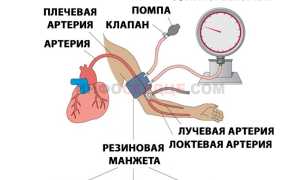 Что такое пульсовое давление?