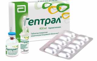 Гептрал при псориазе — отзывы, цена, аналоги