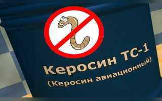 Применение керосина при паразитах