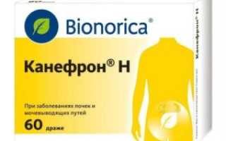 Способы почистить почки медикаментами и пихтовым маслом