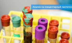 Плацентарный лактоген — что это и зачем назначают исследование