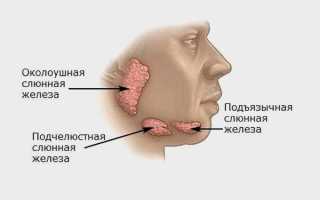 Как делают УЗИ слюнных желез и что оно показывает, как выглядят болезни на мониторе