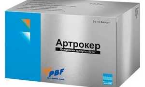 Инструкция по применению капсул Артрокер при остеоартрозе и других патологиях суставов