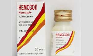 Немозол – можно ли давать кошке?