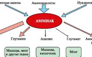 Повышенные и пониженные показатели мочевины в моче