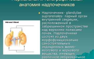 Как делают, подготовка к КТ надпочечников с контрастированием