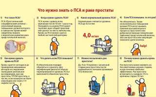 Анализ ПСА у мужчин расшифровка