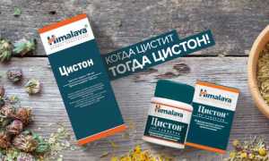 Что лучше при заболеваниях мочевыделительной системы: Канефрон или Цистон