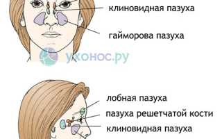 Затруднения носового дыхания, не дышит нос: у ребенка и взрослого – причины, лечение