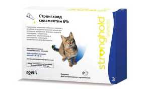 Стронгхолд – инструкция по применению