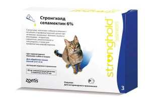 Стронгхолд – инструкция по применению
