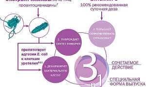 Таблетки Монурель для лечения заболеваний почек и мочеполовой системы