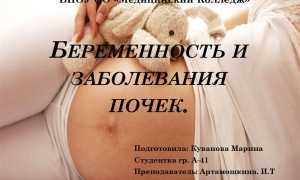 Как протекает беременность у женщин с одной почкой