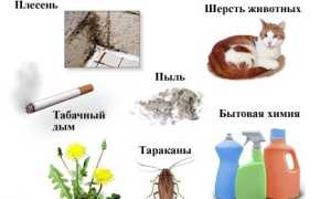 Густые сопли: причины и связь с болезнями, симптоматика, диагностика, лечение