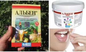 Альбен для человека