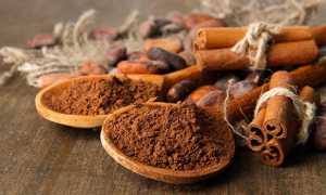 Аллергия на употребление корицы