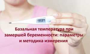 Температура при беременности — чем опасна и как с ней бороться