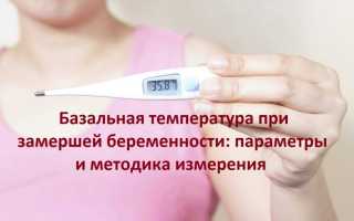 Температура при беременности — чем опасна и как с ней бороться