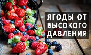 Какие ягоды способствуют нормализации давления?