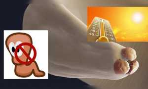 При какой температуре погибают глисты, яйца остриц и другие паразиты?