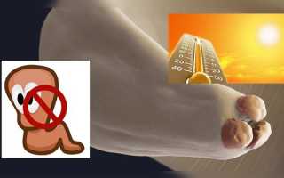При какой температуре погибают глисты, яйца остриц и другие паразиты?