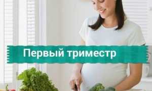 Питание беременных в первом триместре
