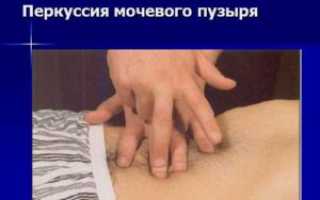 Техника проведения пальпации и перкуссии почек и мочевого пузыря