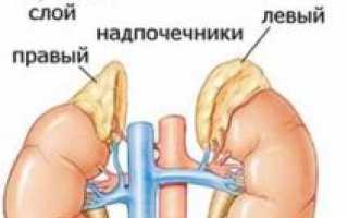 Анализ суточной мочи на метанефрины и норметанефрины