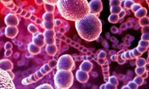 Streptococcus mitis в сперме