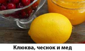 Как проводится чистка сосудов чесноком и лимоном?