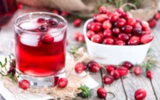 Питание при цистите – что можно есть, какие продукты исключить